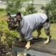 Одежда для собак "Teddy Sweatshirt Grey". SKU 004791. Размер S. Your Stylish Hunter. Худи для собак для французского бульдога, мопса, спаниеля и прочих. - изображение 2