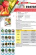 Фунгіцид Ефатол 10 г Adiant+ - зображення 2