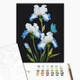 Картина по номерам 40х50 см. Ирисы на чёрном фоне © Anna Steshenko. Brushme - изображение 2