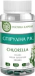 Программа при аллергии Фиаллергин, Спирулина Р.К., Гепатовит, Микобен, Лимфорен "Рослина Карпат" - изображение 4