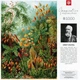 Пазл GoodLoot Imagination: Ernst Haeckel Muscinae 1000 ел. - зображення 4