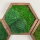 Сота с миксом мхов в рамке размер 18х15 рамка деревянная Natural Wood - изображение 1