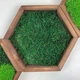 Сота с Плоским мхом в рамке размер 18х15 рамка деревянная Natural Wood - изображение 1
