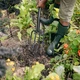 Вилы садовые Fiskars Solid - изображение 3