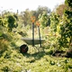 Вилы садовые Fiskars Solid - изображение 7