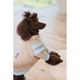 Худі для собак Pet Fashion Home XS-2 - изображение 6