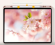 Чехол-книжка CDK для Apple iPad Air 13" M4 2026 | Экокожа силикон Smart Case Слот Стилус (017899) (pink sand) - изображение 4