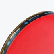 Набор для настольного тенниса Donic Legends 800 FSC (Оригинал) 788488 - изображение 8
