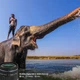 Об’єктив Olympus M.Zuiko 9-18 мм Чорний Б/В - зображення 6