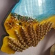 Часы 50х32 см настенные из эпоксидной смолы ручной работы "Карта Украины" с колосками (ЧЕС00000032) - изображение 4