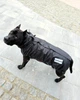 Одежда для собак дождевик "BLACK SHARK". SKU 004784. Размер M. Your Stylish Hunter. Дождевик жилет для собак средних и больших пород, от спаниеля и корги до добермана и овчарки. - изображение 7