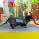Одяг для собак дощовик “LETO”. SKU 004424. Розмір S. Your Stylish Hunter. Дощовик для собак породи такса, коргі, джек рассел, цвергпінчер та іншіх. - зображення 6