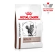 Лечебный корм для кошек Royal Canin Hepatic Feline, 2 кг - изображение 1