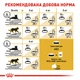 Сухой корм для взрослых кошек породы Сфинкс Royal Canin Adult Sphynx, 2 кг - изображение 7