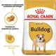 Сухой корм для собак породы бульдог Royal Canin Bulldog Adult, 12 кг - изображение 2