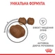 Сухой корм для кошек Royal Canin Oral / Dental Care Профилактики образования зубного налета и зубного камня, 1.5 кг - изображение 7