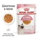 Консервы для котят Royal Canin Kitten кусочки в желе, 85 г - изображение 5
