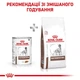 Лечебные консервы для собак Royal Canin Gastrointestinal , 400 г - изображение 4