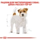 Сухой корм для породы джек рассел терьер Royal Canin Jack Russell Terrier Adult , 7.5 кг - изображение 3