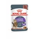 Вологий корм для кішок схильних до випрошування корму Royal Canin Appetite Control шматочки в соусі , 85 г - зображення 1