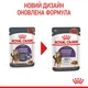 Вологий корм для кішок схильних до випрошування корму Royal Canin Appetite Control шматочки в соусі , 85 г - зображення 4