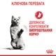 Вологий корм для кішок схильних до випрошування корму Royal Canin Appetite Control шматочки в соусі , 85 г - зображення 6