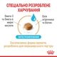 Сухой корм для пожилых собак породы йоркширский терьер Royal Canin Yorkshire Terrier Ageing 8+ , 1.5 кг - изображение 4