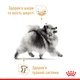 Сухой корм для собак породы померанский шпиц Royal Canin Pomeranian Adult, 1.5 кг - изображение 3