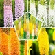 Луковицы Эремурус Mix (207146) - изображение 1