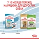 Cухий корм для цуценят Royal Canin X-Small Puppy 3 кг - изображение 6