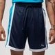 Шорти Air Jordan Dri-Fit Sport Mesh Short Blue DH9077-410 S - зображення 3