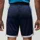 Шорти Air Jordan Dri-Fit Sport Mesh Short Blue DH9077-410 S - зображення 4