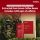 Лікуюча єсенція Kundal Caffeine Head Spa & Scalp Care Water Treatment Herb Mint для шкіри голови від випадіння волосся 300 мл (8809693254163) - зображення 7