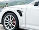Накладки на крылья Audi A3 A4 A5 A6 A7 A8 Q3 Q5 Q7 стиль ABT - изображение 4
