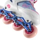 Роликові ковзани Nils Extreme Princess M (35-38) NA18168A, білий - изображение 5