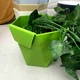 Подвесной цветочный горшок Зелёный Хеца Ламела для зелени - изображение 2