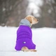 Комбинезон для собак AiryVest One, размер XS30, фиолетовый (24139) - изображение 9