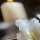 Вініловий кухонний фартух Білі квіти на каменях 2 (наклейка для кухні ПВХ плівка скіналі) Чорний 600*3000 мм - зображення 6
