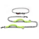 Поводок-пояс для собак Harness 160-260см, поводок для бега с собакой, Зеленый (176-GREEN) - изображение 1