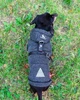 Одяг для собак Худі "LEKS TAKS MELANGE". SKU 004476. Розмір S. Your Stylish Hunter. Худі для собак породи такса, коргі, джек рассел, цвергпінчер та іншіх. - зображення 4