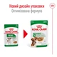 Консервированный корм Royal Canin Mini Adult 85 г (109600100) - изображение 2