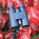 Бінокль Opticron Oregon 4 PC Oasis 10x42 WP (30767) - зображення 5