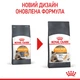 Сухой корм Royal Canin Hair & Skin Care 2 кг (2526020) - изображение 2