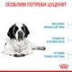 Сухий корм Royal Canin Giant Junior 15 кг (3031150) - зображення 3