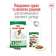 Сухой корм Royal Canin Mini Adult 2 кг (30010200) - изображение 3