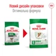 Сухой корм Royal Canin Mini Ageing 12+ 800 г (10070080) - изображение 2