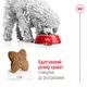 Сухой корм Royal Canin Mini Adult 2 кг (30010200) - изображение 5