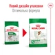 Сухой корм Royal Canin Mini Adult 2 кг (30010200) - изображение 2