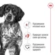 Сухой корм Royal Canin Medium Adult 15 кг (30041500) - изображение 6