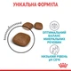 Сухой корм Royal Canin Urinary Care 10 кг (1800100) - изображение 7